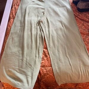 Diane Von Furstenberg Silk Assets Pants in Light Green